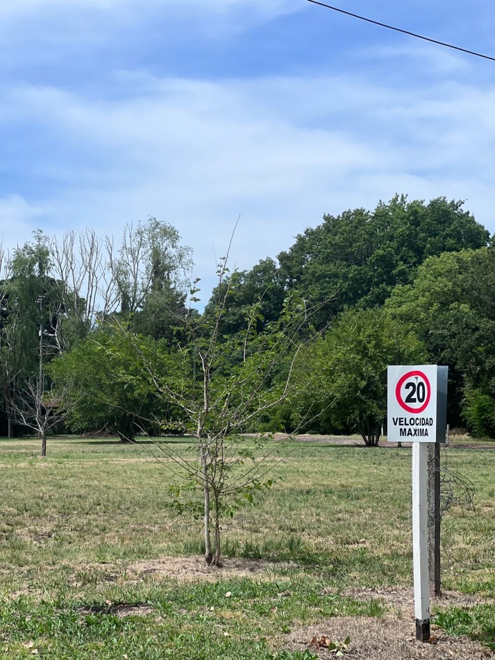 Lotes en Parque Pero.
