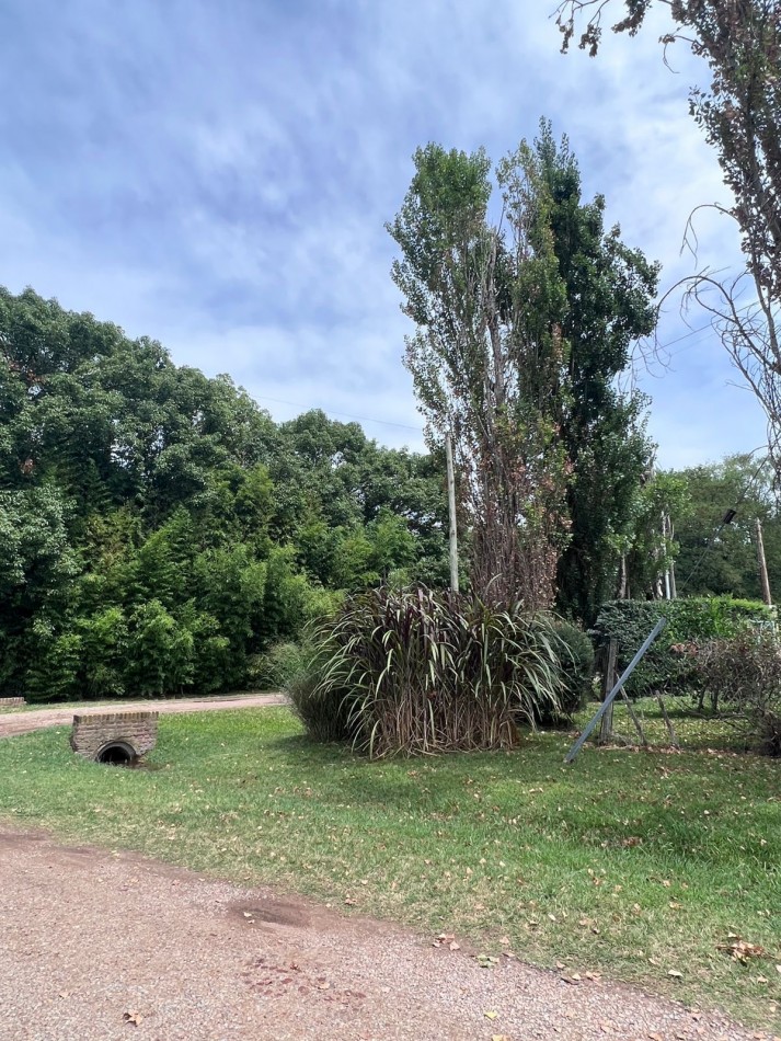 Lotes en Parque Pero.