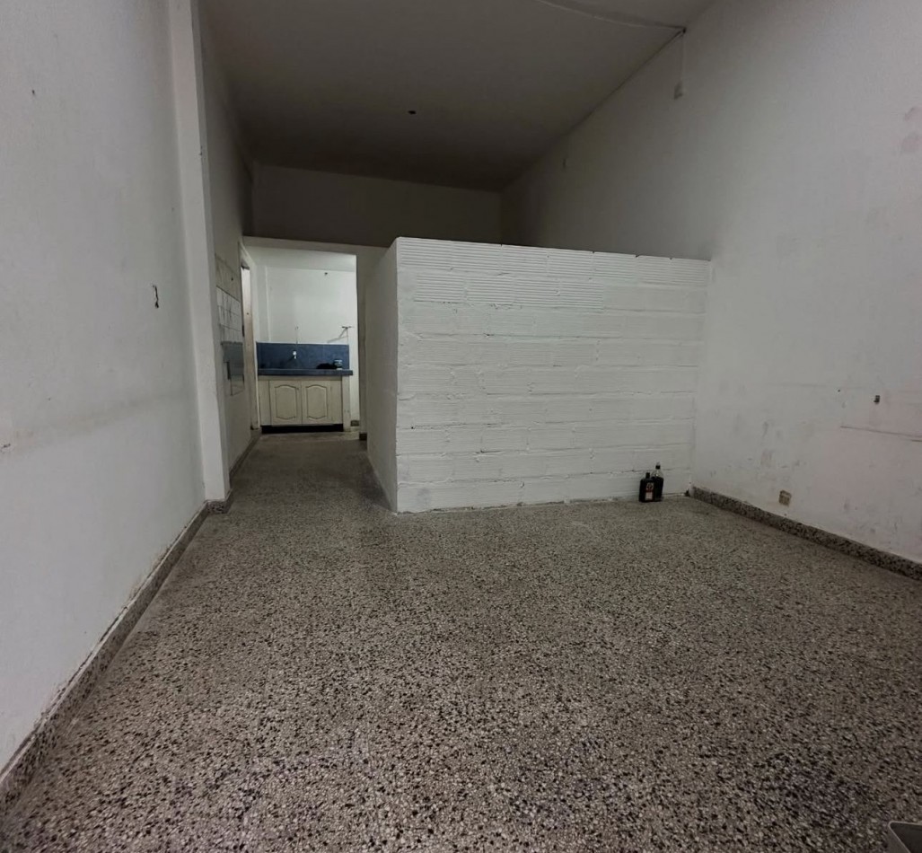 Alquiler Departamento en Maquinista Savio.
