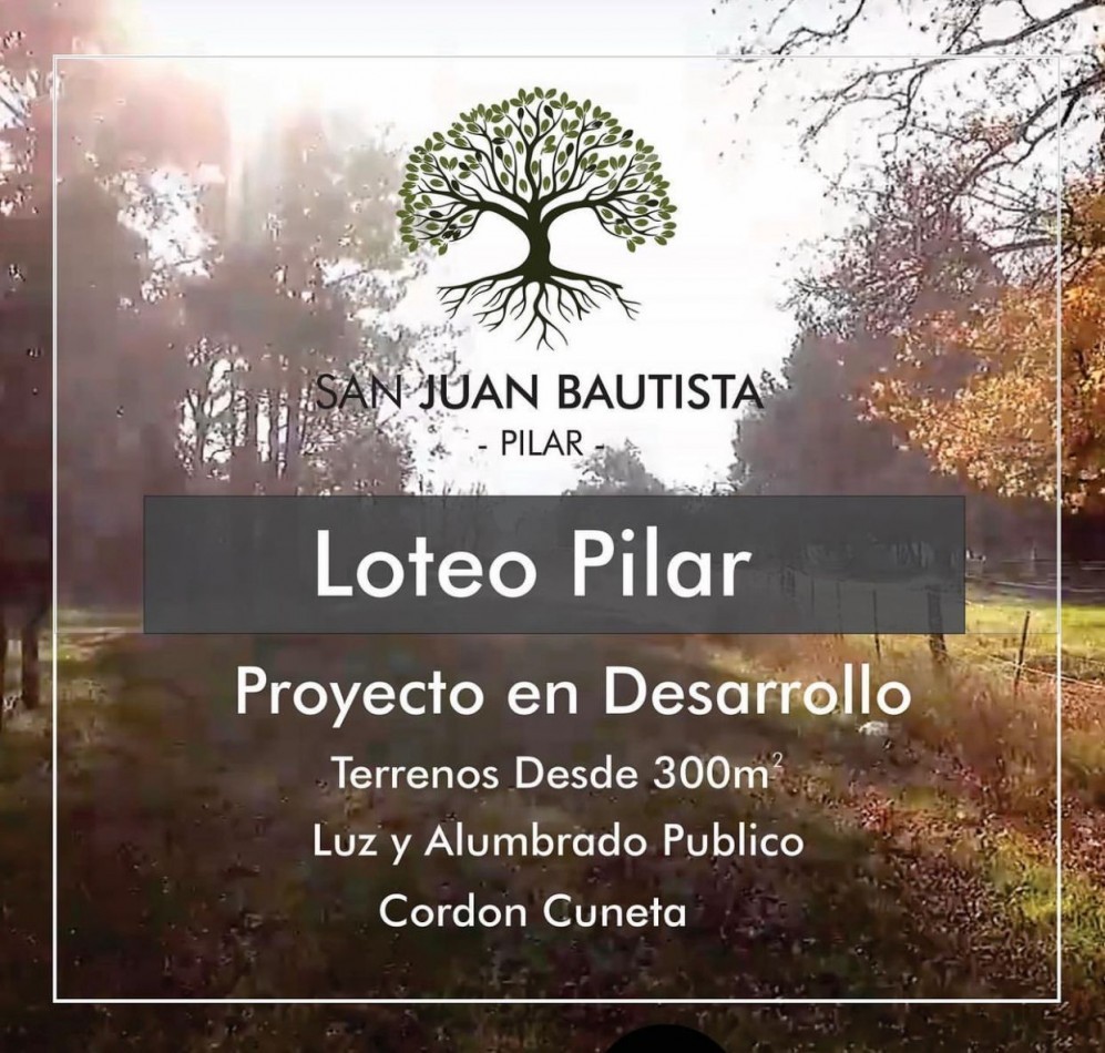 Barrio San Juan Bautista, Lotes.