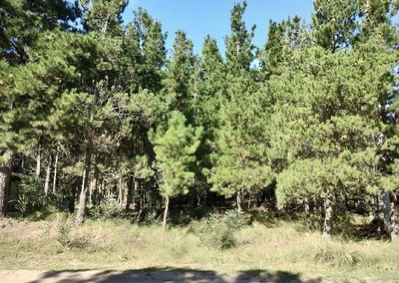 Lote Costa Esmeralda, oportunidad. 