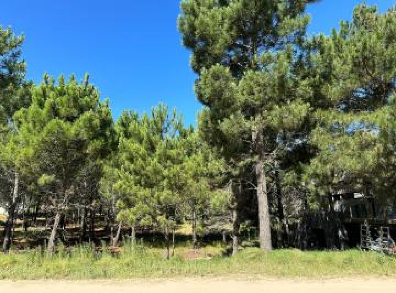 Lote Costa Esmeralda, oportunidad. 