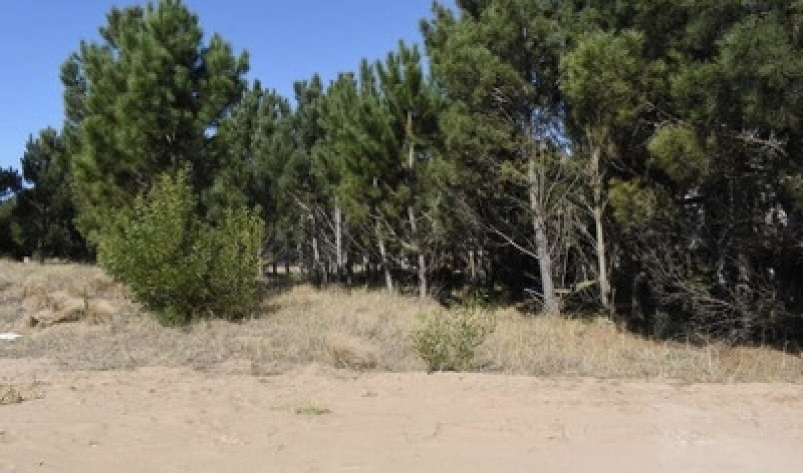Lote Costa Esmeralda, oportunidad. 