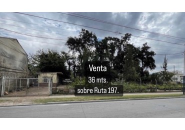 Lote en la Ruta 197. 